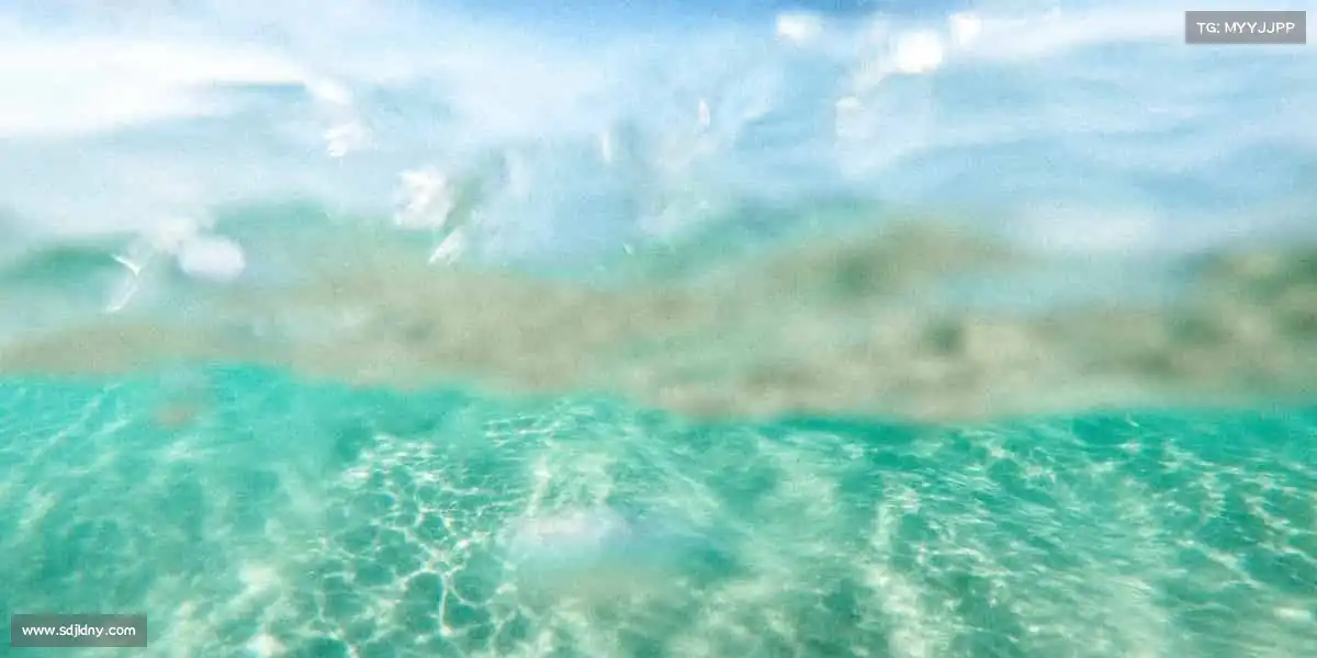 米兰官网🏓小球转动大世界,每一拍都是热爱 —— 乒乓对决,等你来战!